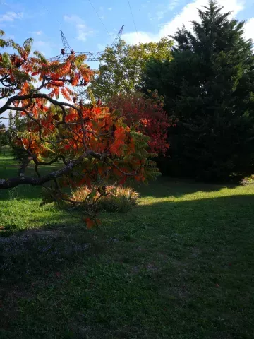 automne antre des vices