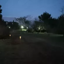 nuit antre des vices