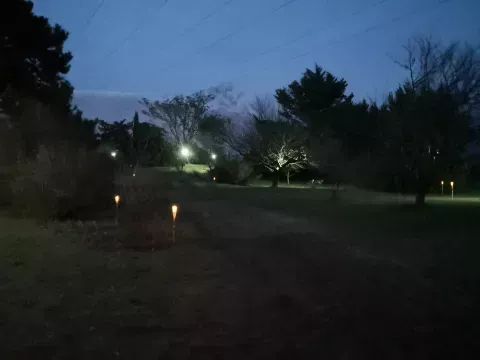 nuit antre des vices