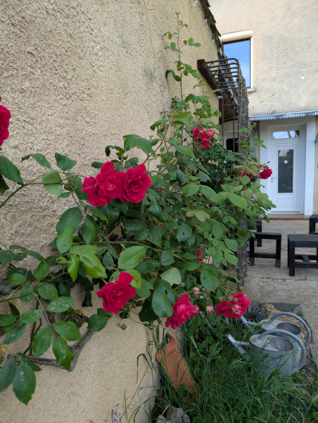 printemps antre des vices